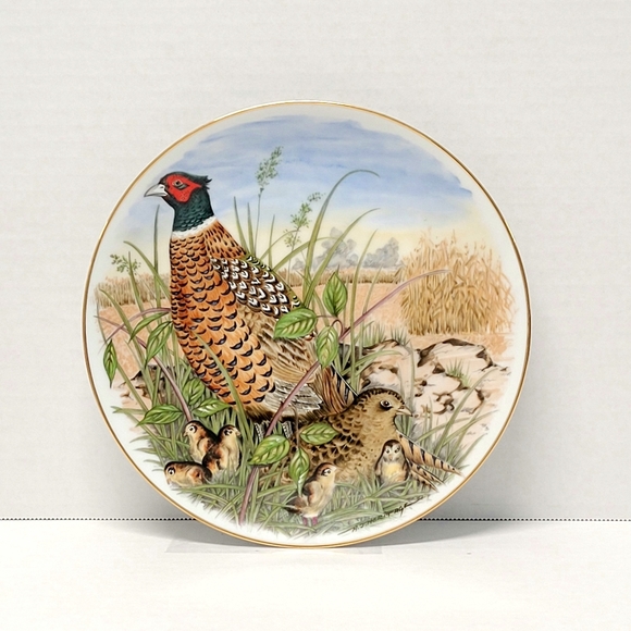 Southern Living Art Vintage Collectible Ring Knecked Pheasant